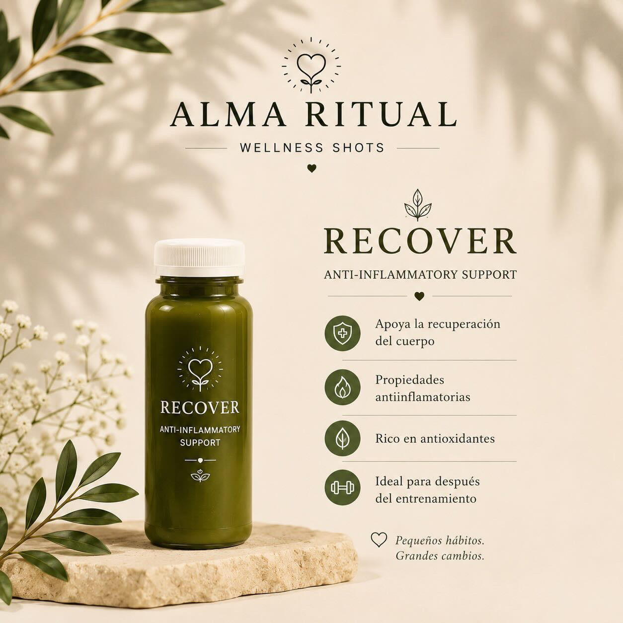 Shot Recover de Alma Ritual – Anti-Inflammatory Support